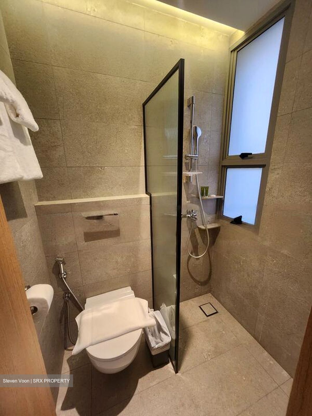 Mount Elizabeth Link (D9), Condominium #459168281